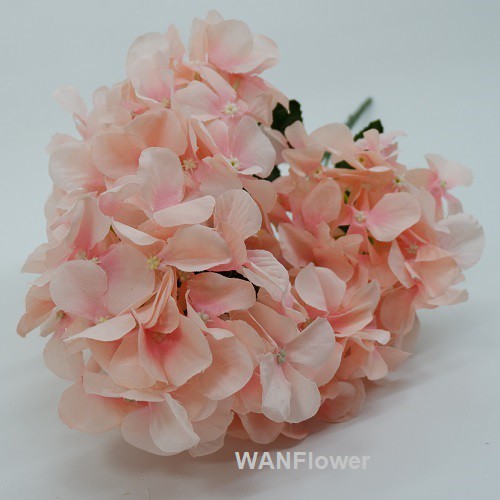 WANFLOWER Bunga Hydrangea Hortensia X5K * SALEM