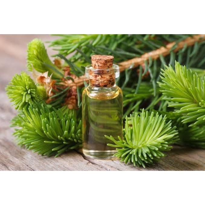 organic Cedar wood essential oil minyak atsiri cedarwood