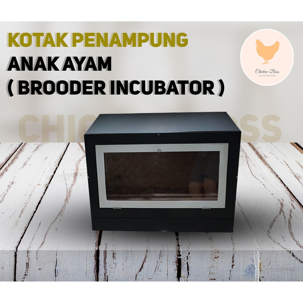 Kotak Penghangat Anak Ayam Brooder Incubator