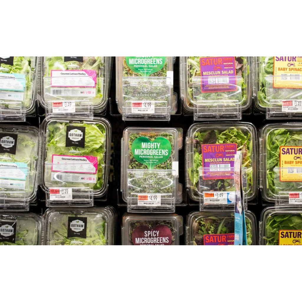 BS-BYL Benih Microgreen Sayur Organik Sprout Seed Bibit Sayuran Microgreens Alfalfa Broccoli Bok Pak Choy Red Cabbage Radish dll-4