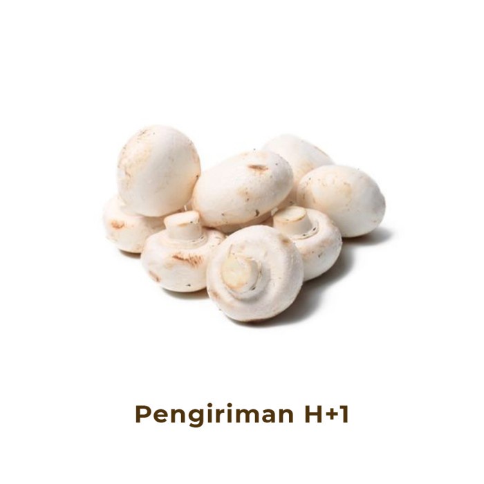 

Jamur Champignon