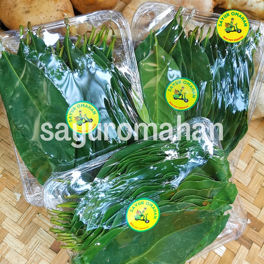 

Daun Salam - Bumbu Dapur