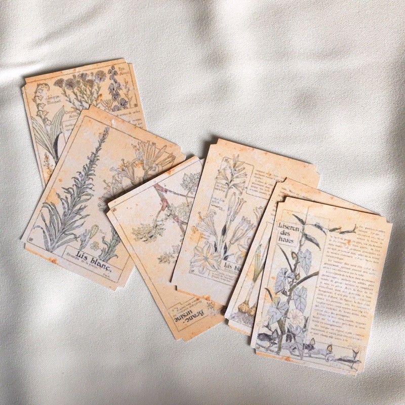

10 Sheets Botanical Vintage Paper