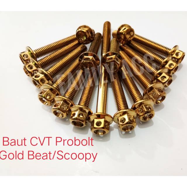 Baut CVT Hawa Probolt Beat-Scoopy