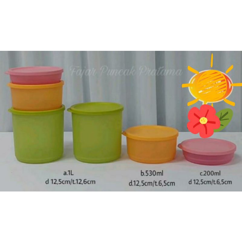 tropical round tupperware