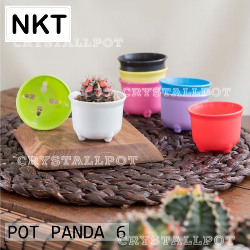 pot bunga tanaman mini nkt panda 06 warna warni 6cm - nkt mini