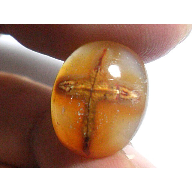 AG296 Oval Cabochon 14x11mm 8ct Natural Untreated Figure Golden Brown Cross Picture Agate