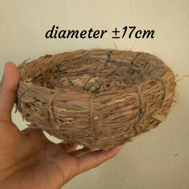 Sarang burung diameter 17cm susuh burung alas tempat cincin lamaran