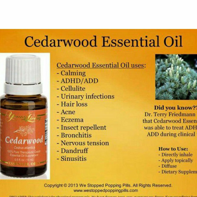 ESSENTIAL OIL CEDARWOOD YL