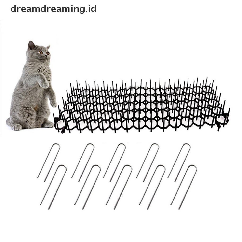 (Dreamdreaming.Id) Duri Pengusir Kucing