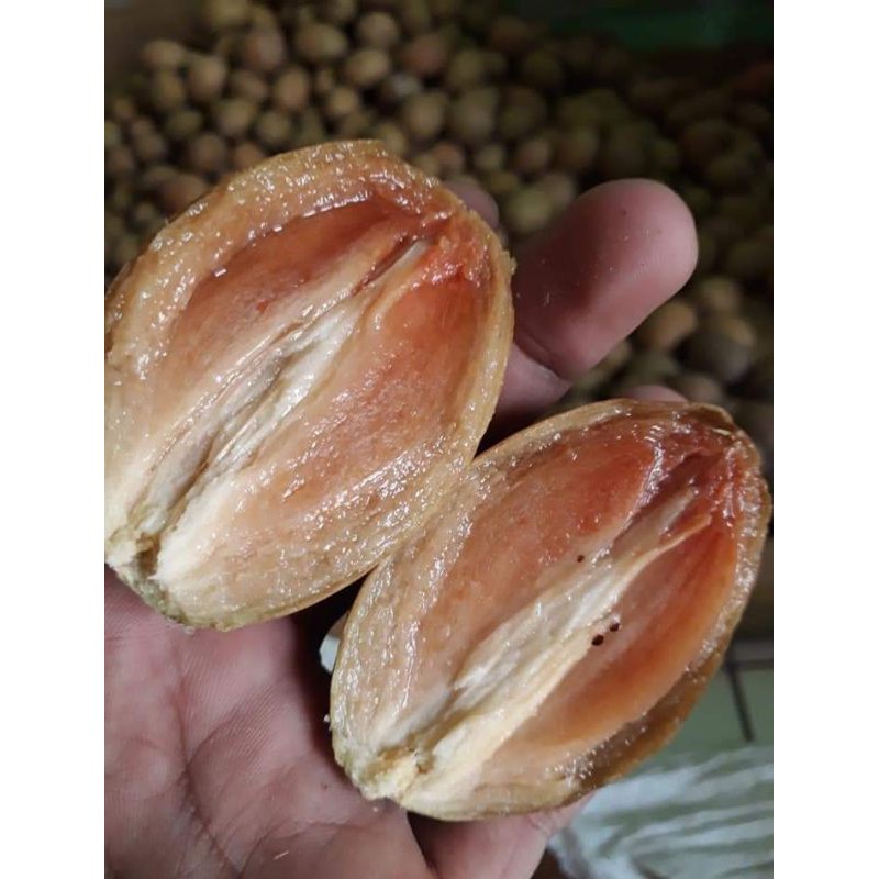 

buah sawo madu super manis 1 kg
