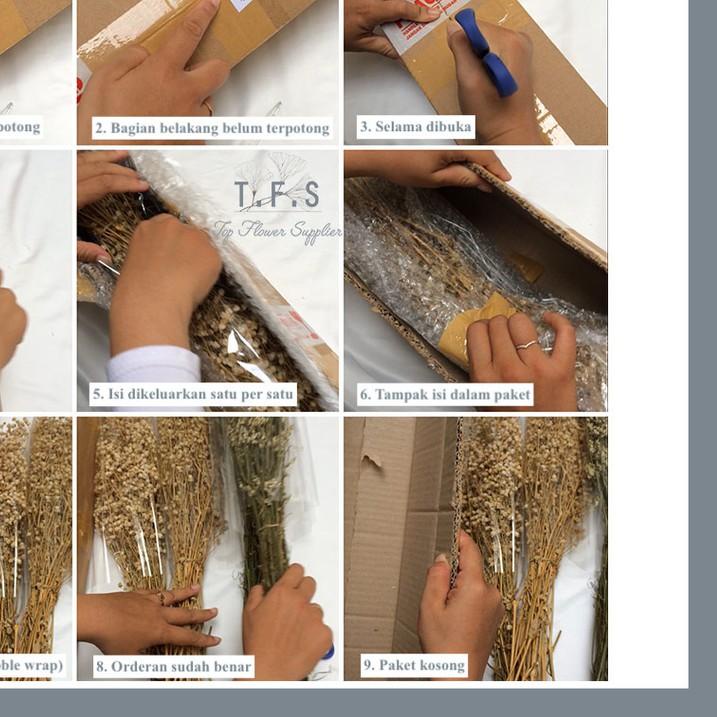 Dried Flower Pussy Willow Bunga Tanaman Kering Asli Import Hias Dekorasi Imlek CNY Pesta