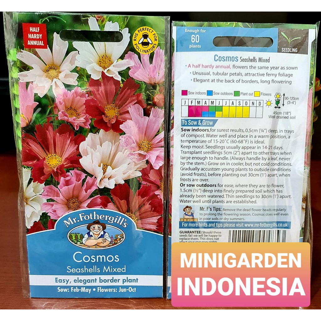 Benih Bunga COSMOS SEASHELLS MIXED PACK 60 BIJI mr. fothergills bibit tanaman