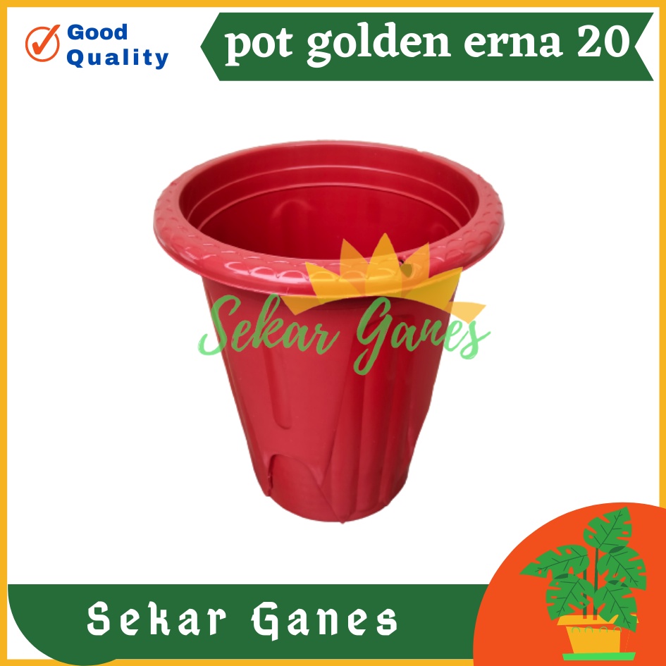 Pot Golden Erna 20 Merah Bata Coklat Terracota Terracotta Garden Of Love Mirip Pot Yogap 18 19 25 Murah  Putih Coklat Merah Bata Bening Transparan Pot Yogap 18 19 25 Pot Yogap Murah Pot Bunga Tinggi Pirus Tegak Bagus Tebal