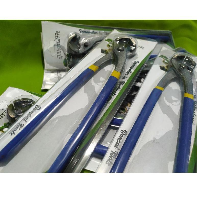 [KODE VR3789] catok bonsai catut bonsai gegep kakak tua