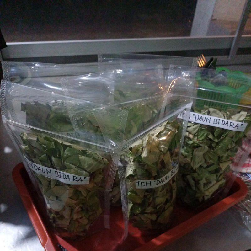Daun bidara obat herbal
