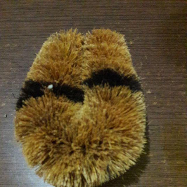 Sikat Kodok Sabut Kelapa Uk Sedang