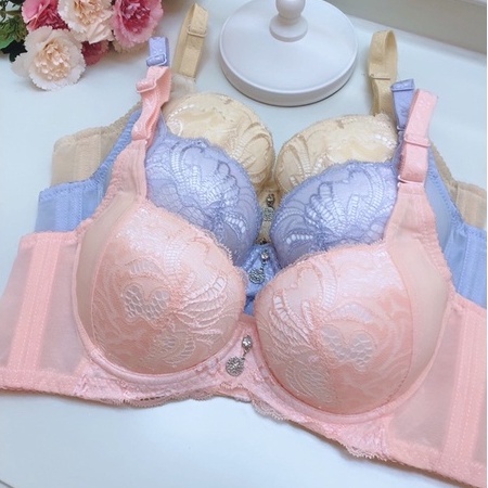 Bra (K-B31) Pakaian dalam wanita dengan pilihan warna menarik berkawat dan busa push up