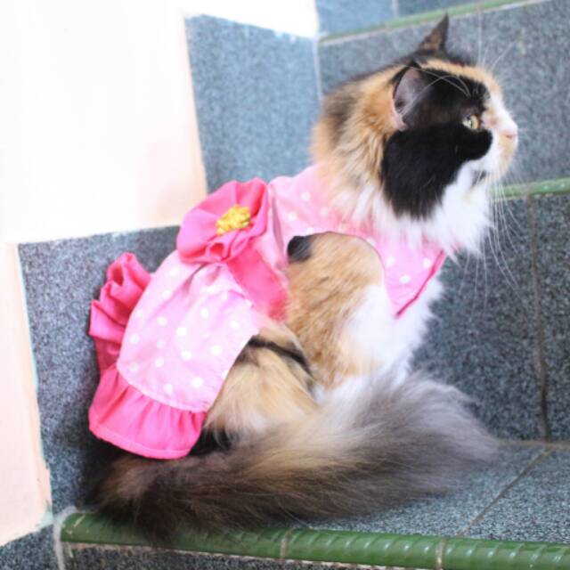 Dress pink polkadot imut banget untuk kucing dan anjing size S M L XL