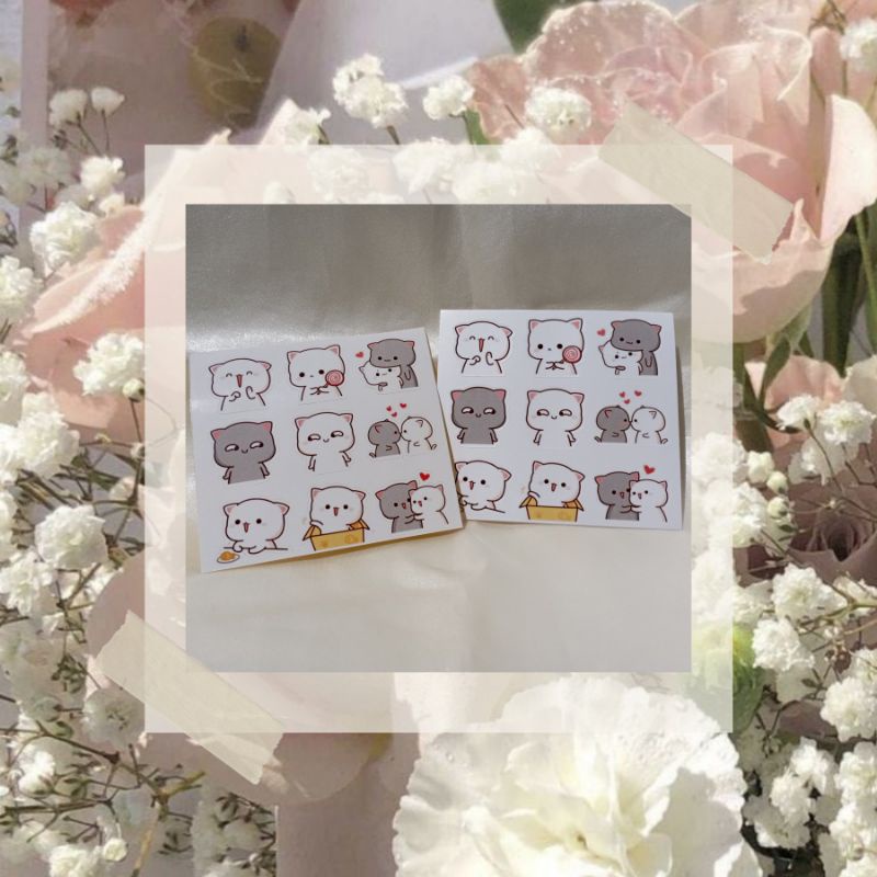 

stiker kucing lucu