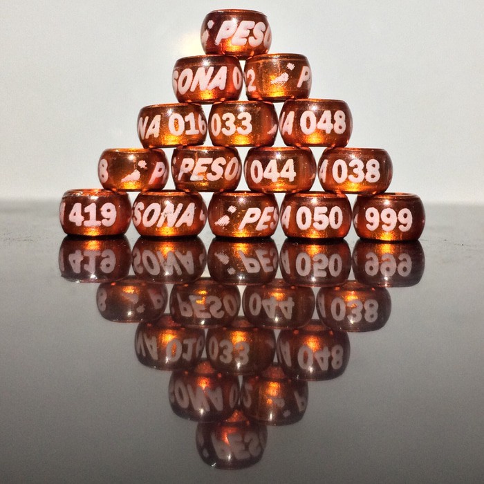 Hott Sale Ring Burung Lovebird Warna Oren Gelang Kaki Burung