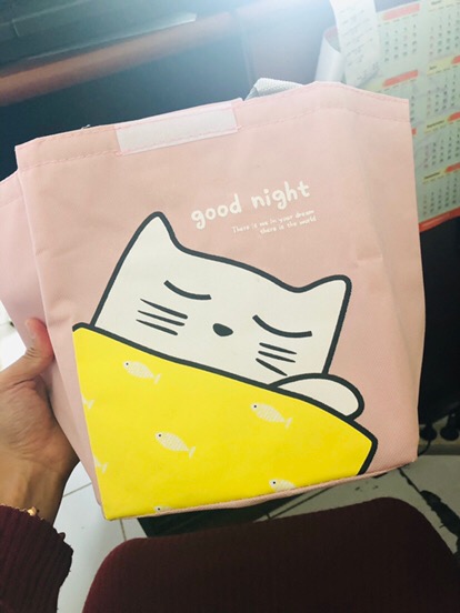 Tas Bekal Tahan Panas Dingin Lunch Bag Tas Bekal Motif Tas Makanan