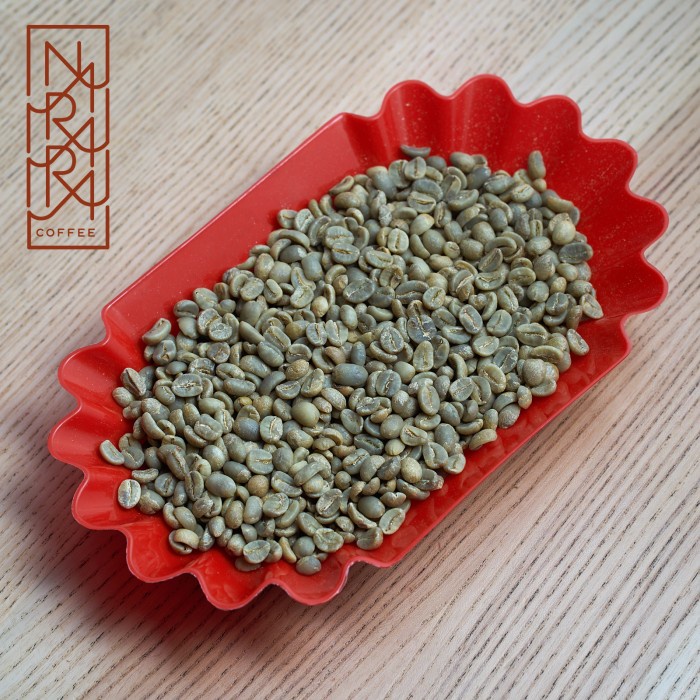 

kopi-biji- green bean 1kg mandheling full wash biji kopi sumatra arabika -biji-kopi.