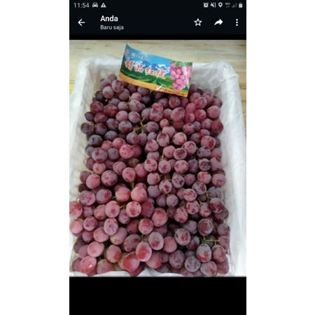 

buah anggur merah