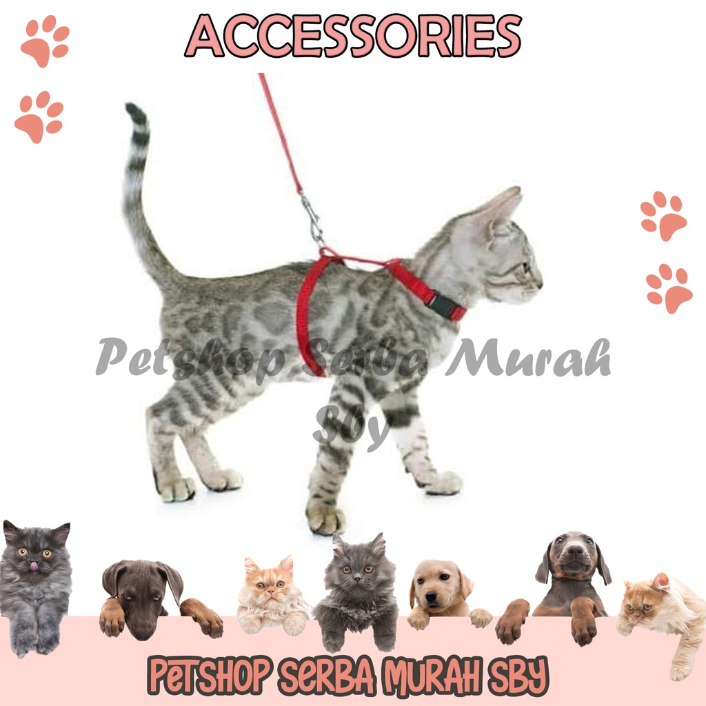 Tali Tuntun Kucing - Harness Model Y - Aksesoris Hewan Peliharaan