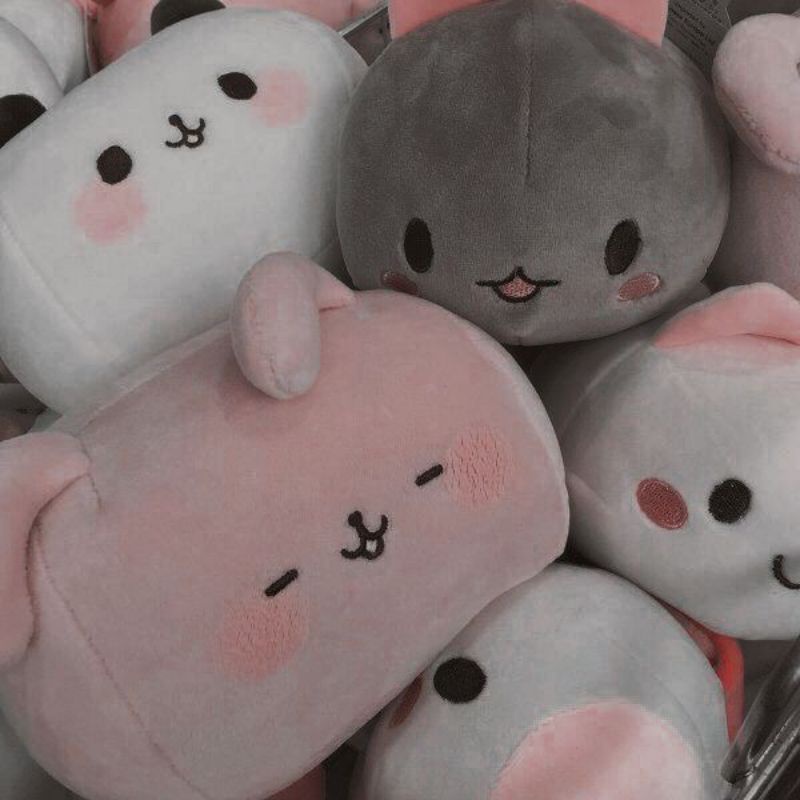 

link harga 30k 1kg