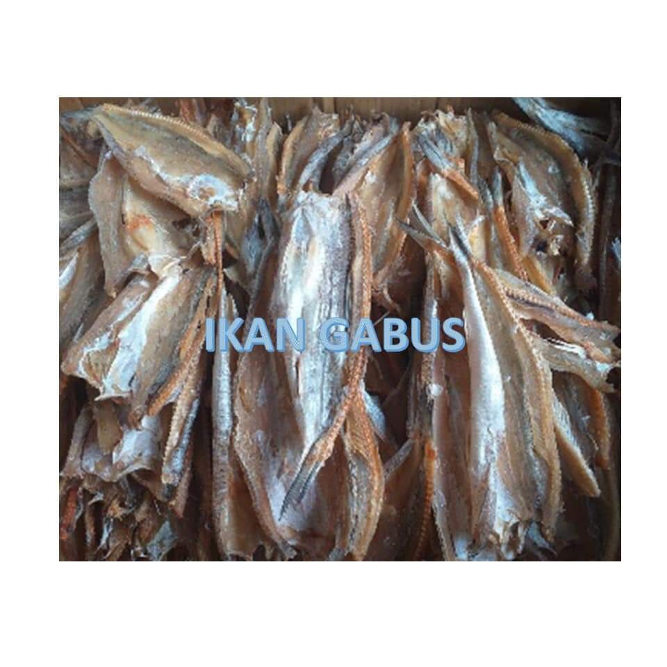 

Ikan Gabus Asin