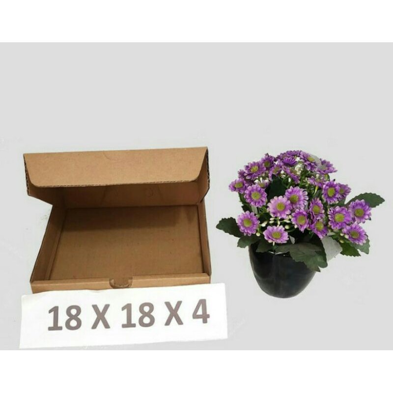 

dus pizza / box kardus / packing pizza / box pizza murah ukuran 18 x 18 x 4