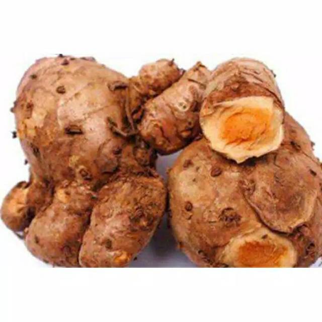 

Temulawak segar organik 1000 g