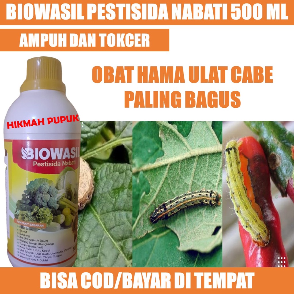 BIOWASIL PESTISIDA HAMA ULAT CABE, CABAI RAWIT Obat Hama Ulat Cabe/Cabai Paling Bagus  - Insektisida