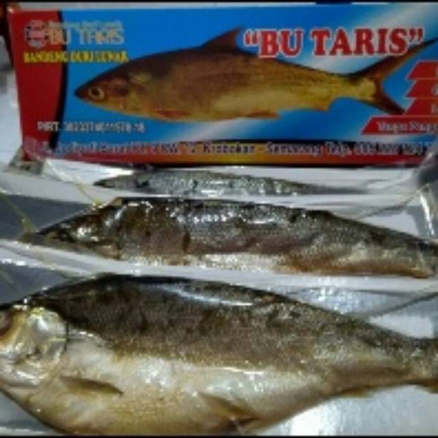 

Bandeng Presto "Bu Taris" Vakum