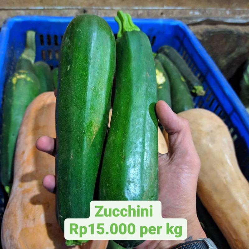 

Zucchini 1kg