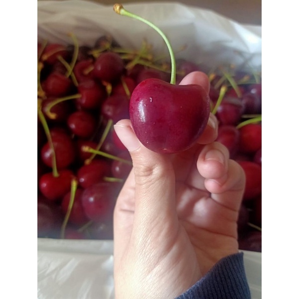 

Cherry red