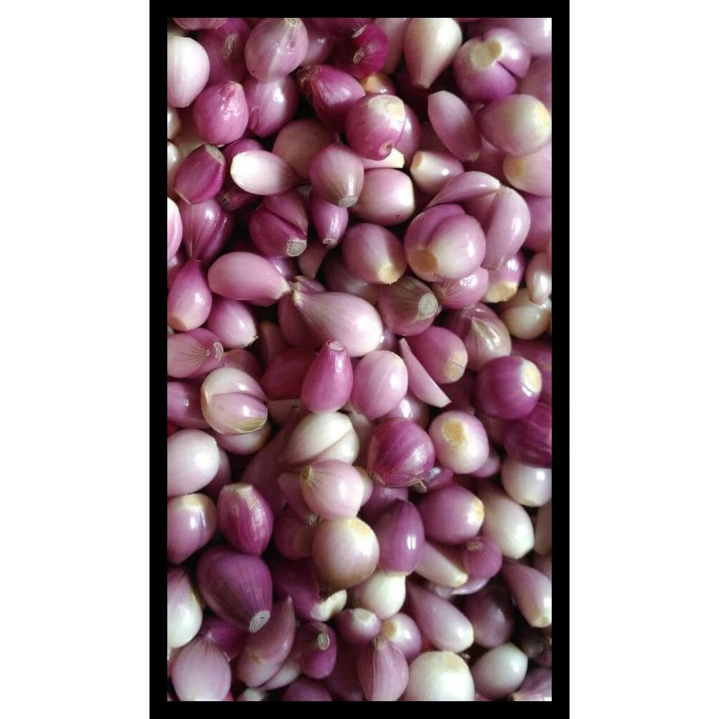 

| Bawang Merah Kupas 1 Kg |