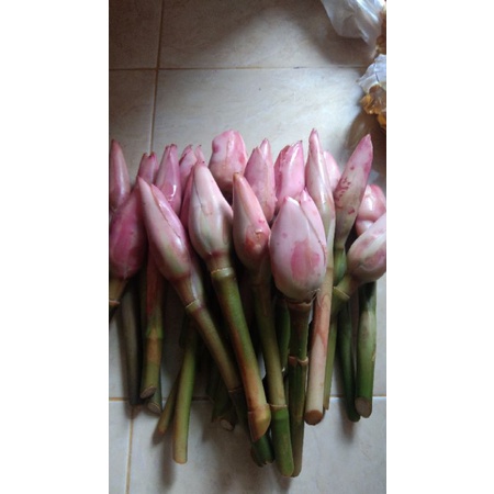 

kecombrang