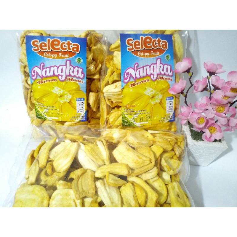 

Keripik Nangka Selecta Super Kemasan Transparan