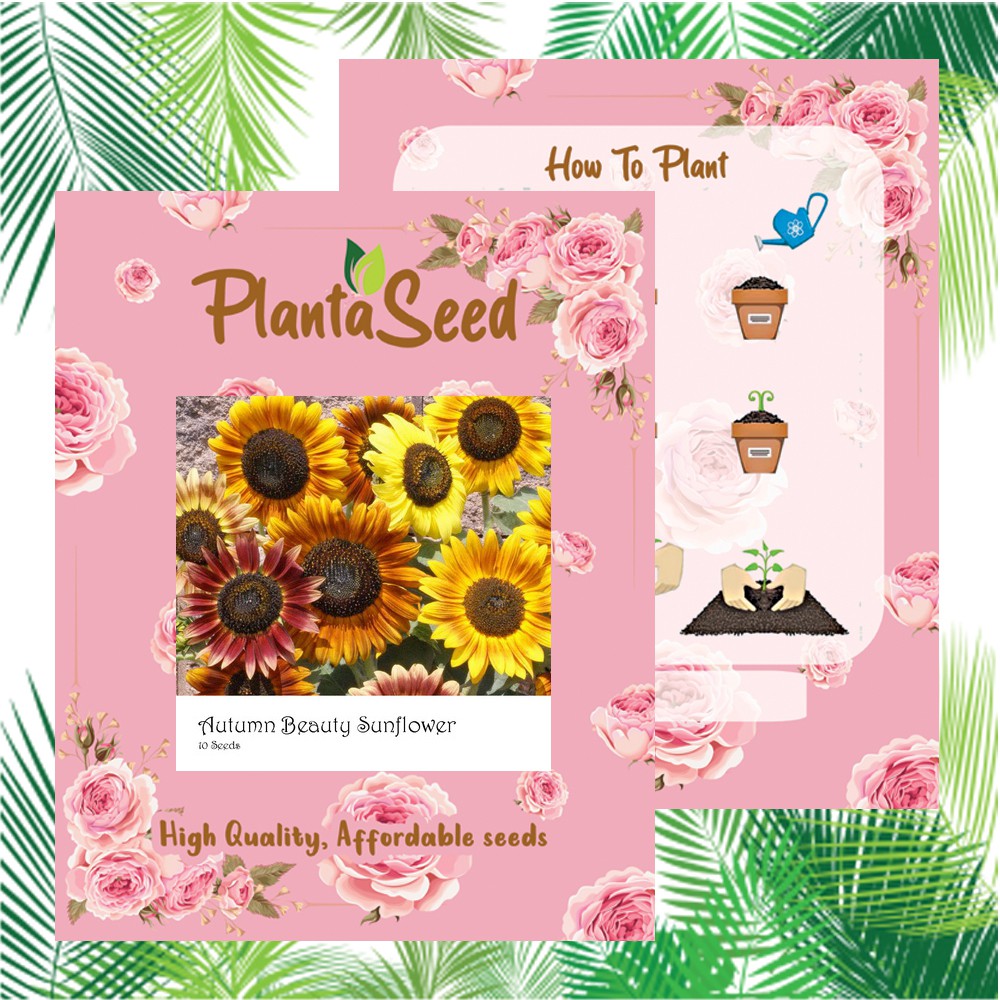 PlantaSeed - 10 Seeds - Autumn Beauty Sunflower Biji Bunga - PAS0213