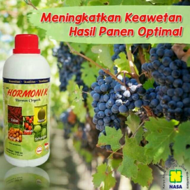 HORMONIK KEMASAN 500cc