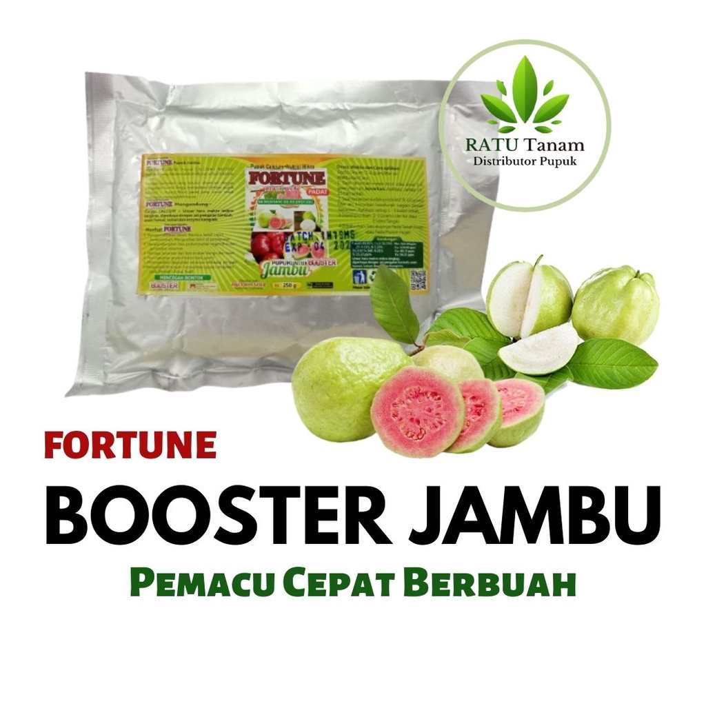 Booster Buah Jambu Biji / Jambu Kristal / Booster Untuk Jambu Cepat Besar, PUPUK BUAH JAMBU TERBAIK