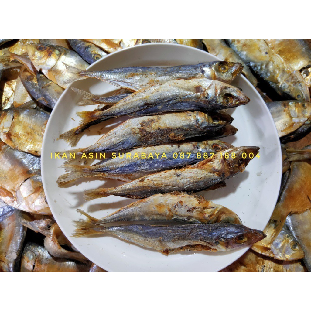

Ikan Asin Klotok Peda Sedang (Kemasan plastik vacuum press)