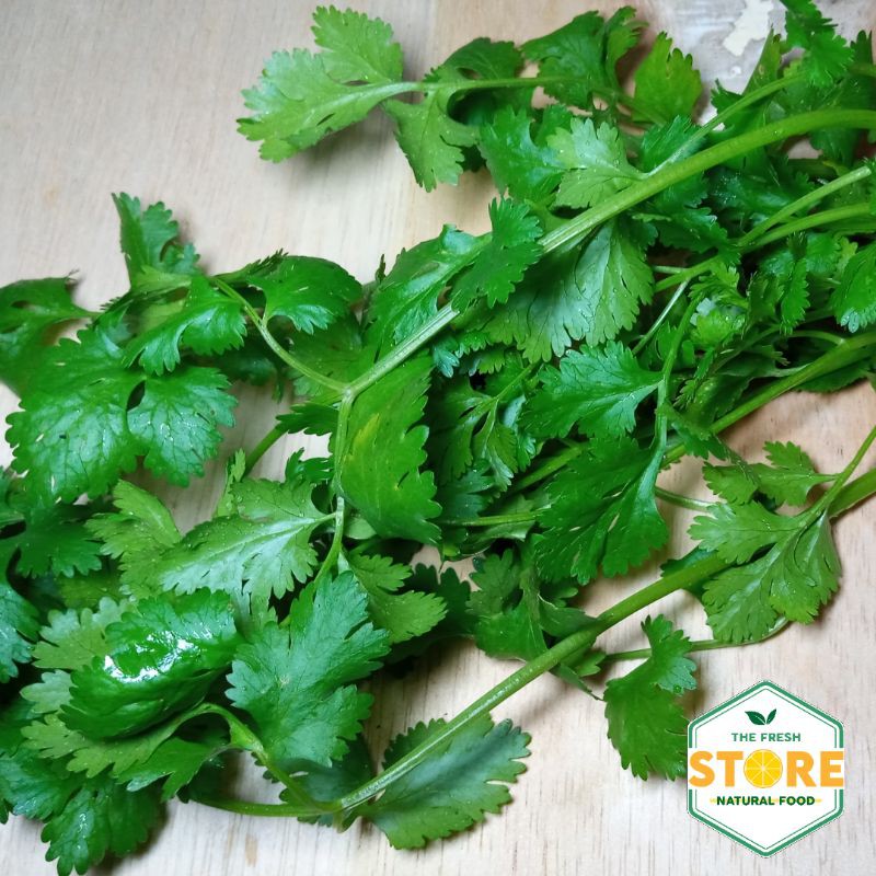 

TFStore / Cilantro / Coriender / Wansui / Daun Ketumbar