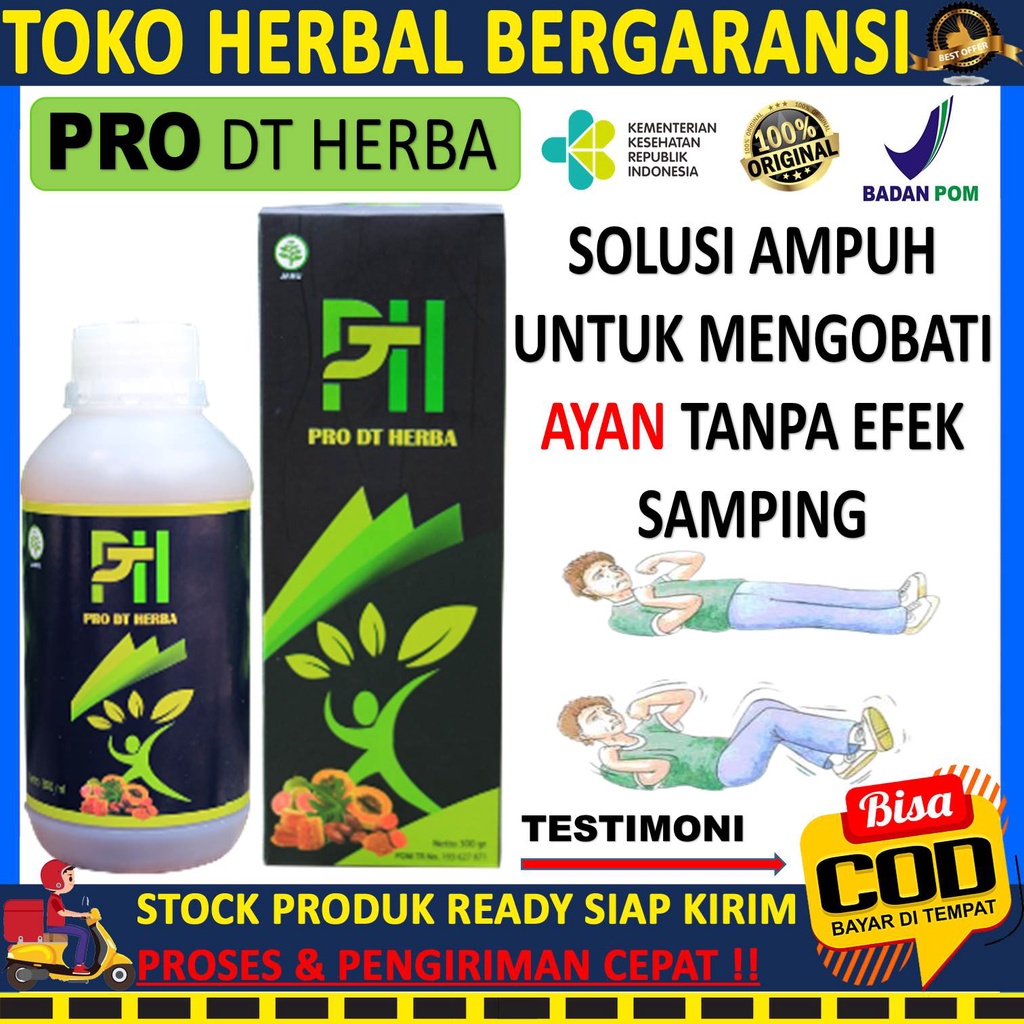 PRO DT Herba Obat Ayan Paling Ampuh