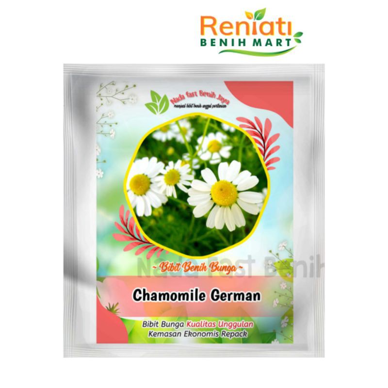 Jual Benih Bunga Chamomile German Bibit Bunga Indonesia Shopee Indonesia