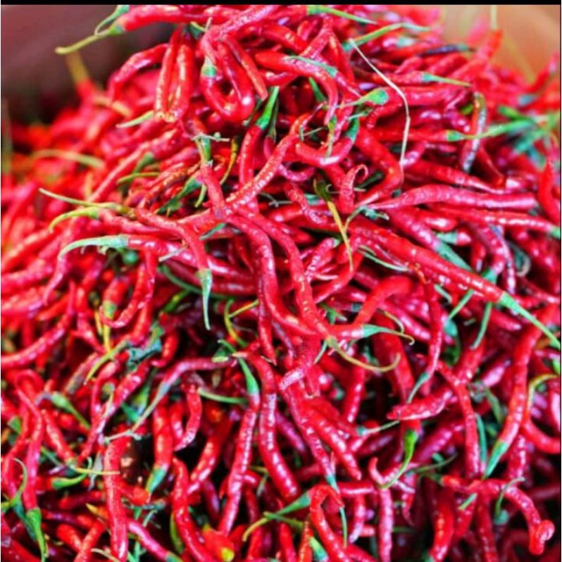 

Cabe Rawit/Cabe keriting/Cabe Merah Besar/Cabe hijau besar/Rawit hijau/Paprika Merah/Paprika Hijau