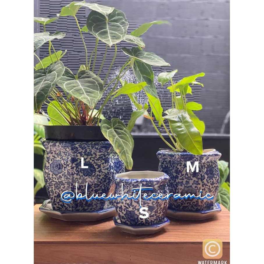 Pot Keramik Biru Putih Cina Motif Small Sakura S-L #Bluewhite2142 - S Ready Stok
