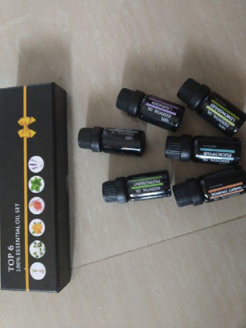 Premium 10ml 6 Botol  Essential Fragrance Oils Aromatherapy For Diffuser/humidifier/burner